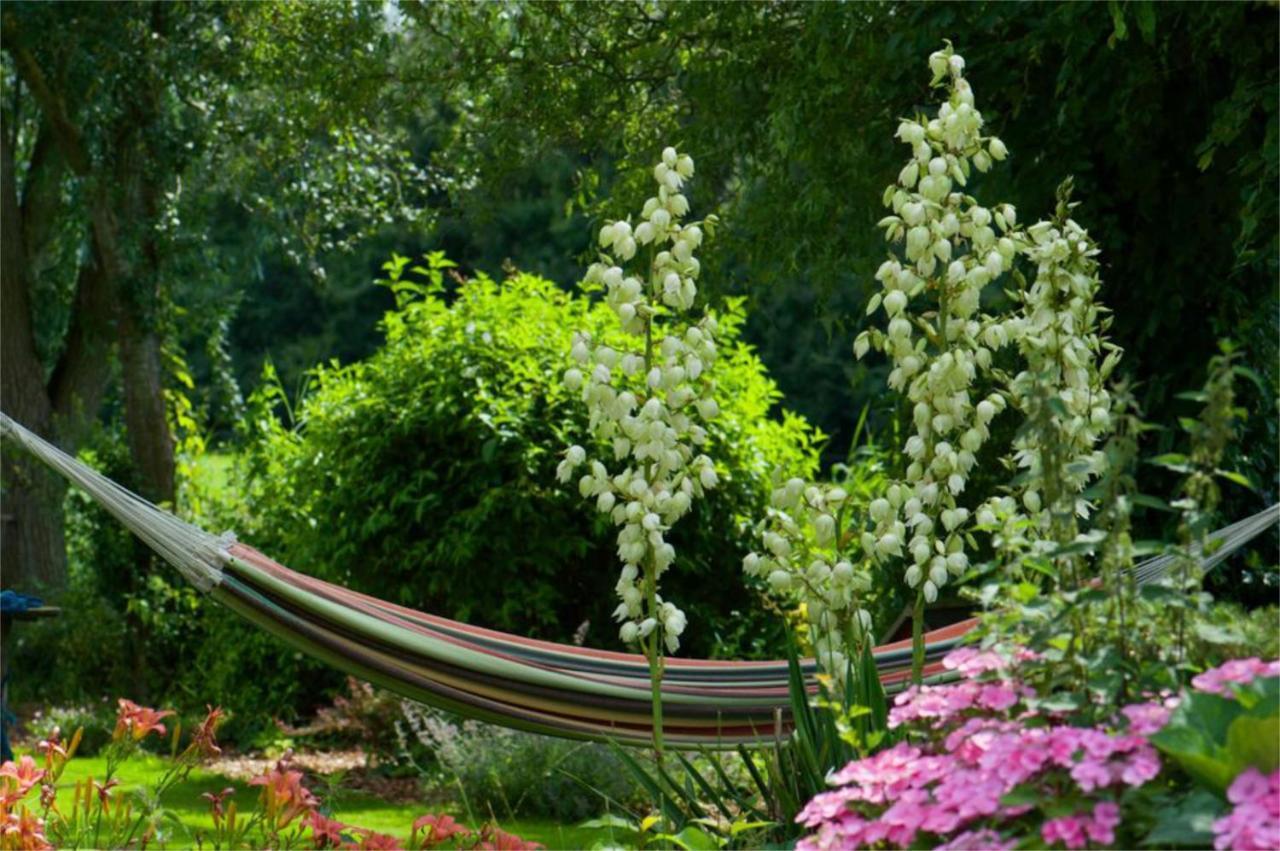 B&B op Landgoed Koepeltjesplaats Gaast Buitenkant foto